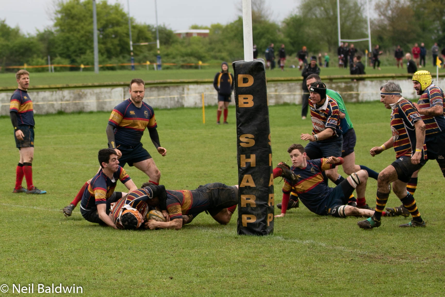 Tabard Rugby 28/04/2018 - Grizzlies vs Tabard - Old Albanian RFC Shop